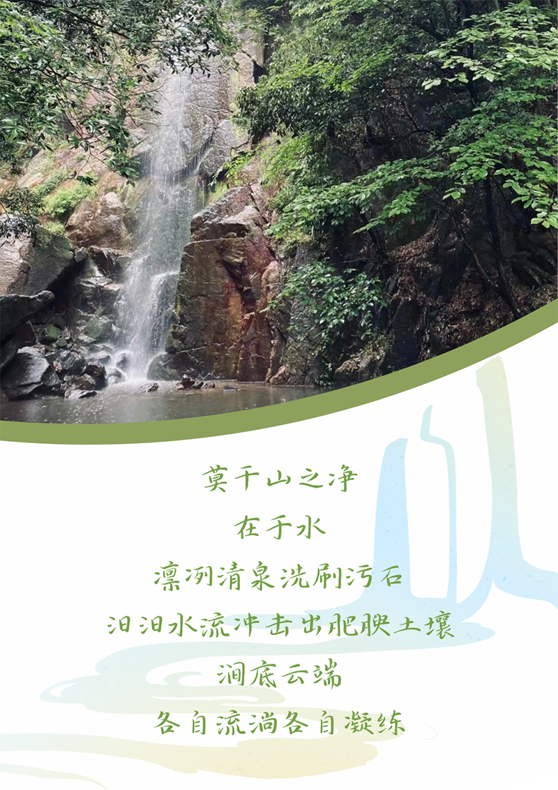 心心念廿 相伴35273 | 与德清相约 贺廿载诞辰